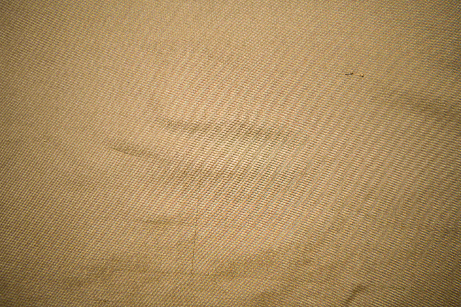 Champagne Gold Silk Taffeta