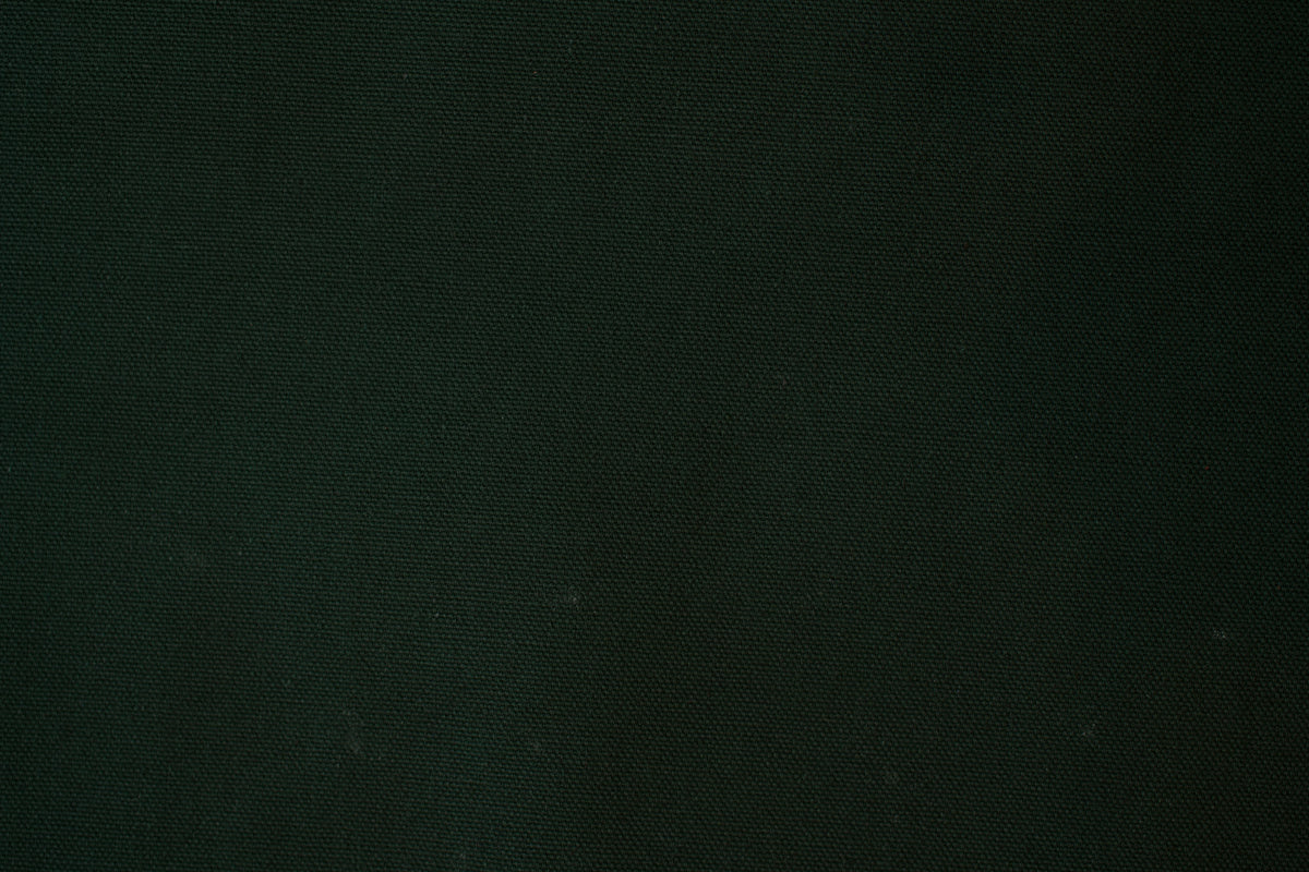 Spruce Green Cotton Duck Canvas