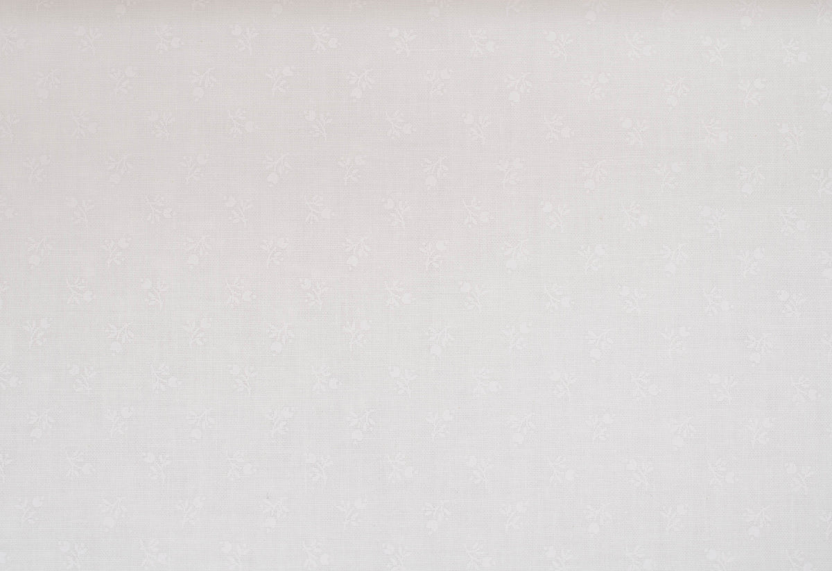 Tulip | White on White