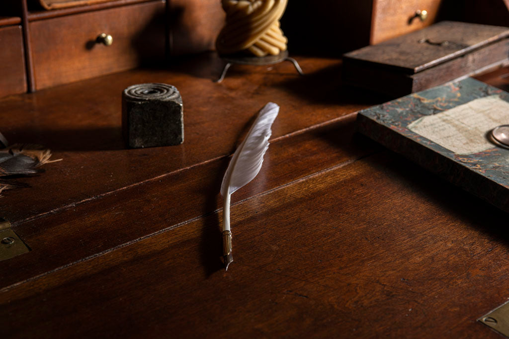 18th Century Goose Writing Quill for Early American Calligraphy