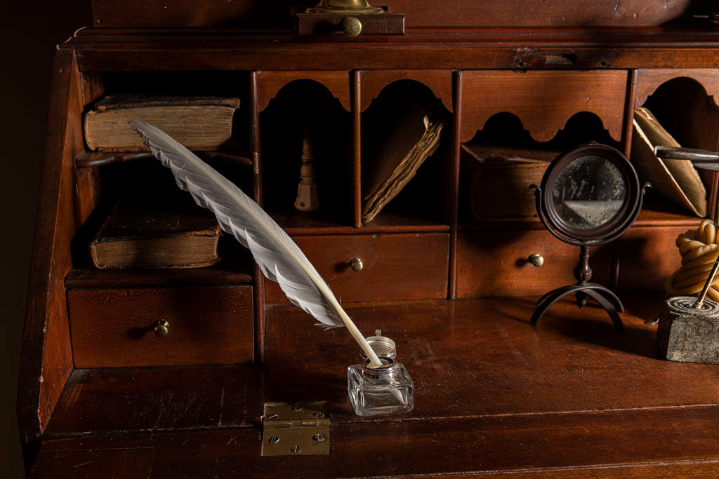 18th Century Goose Writing Quill for Early American Calligraphy